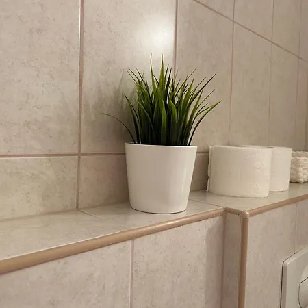 Mango613 * 希欧福克