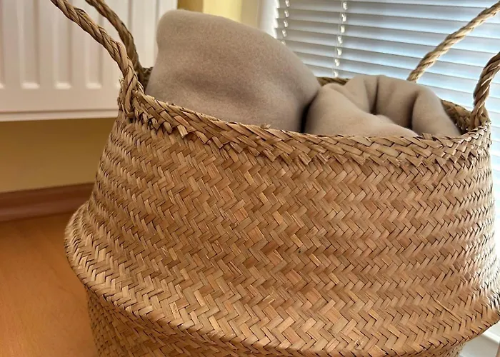 Mango613 公寓 希欧福克