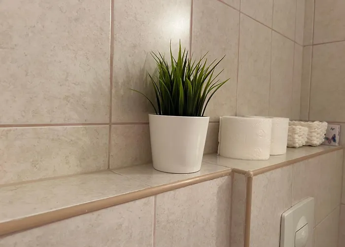 Mango613 * 希欧福克