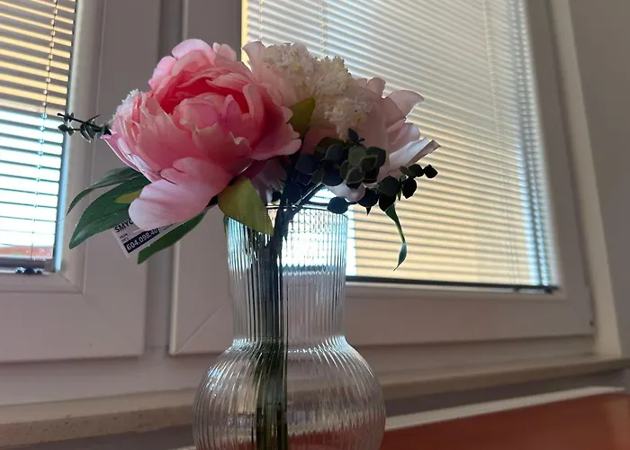 Mango613 公寓 希欧福克